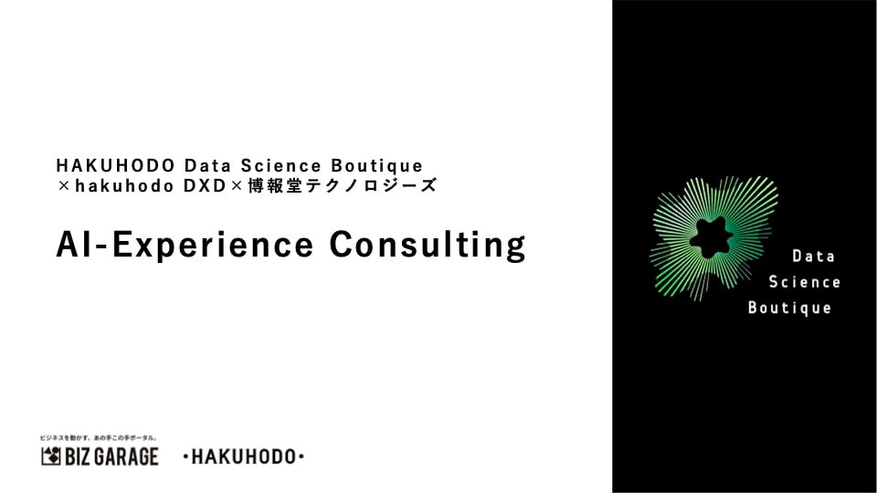 AI-Experience Consulting