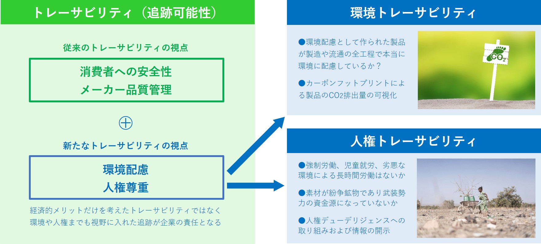 図版1