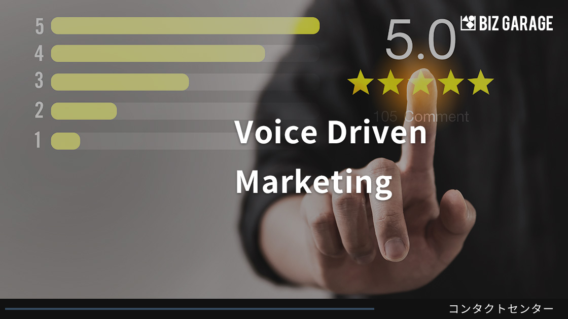 Voice Driven Marketing（VOC分析）